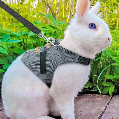 Rabbit leash rabbit dress