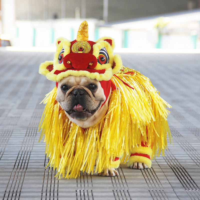 New Year Transformed Into Pet Clothing Lion Dance Costume