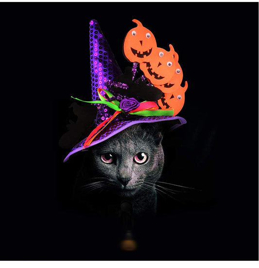 Dogs Cats Halloween Hats Pumpkin Headgear