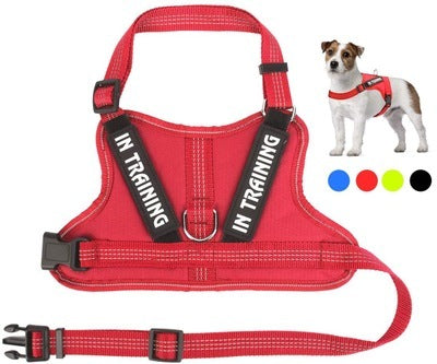 Personalize Per harness