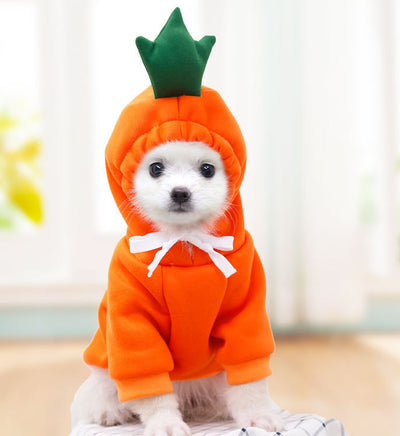 Cute Fruit Dog Clothes For Small Dogs Hoodies Winter Warm Fleece Pet Clothing Puppy Cat Costume Coat For French Chihuahua Outfit