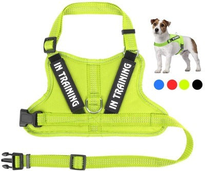 Personalize Per harness