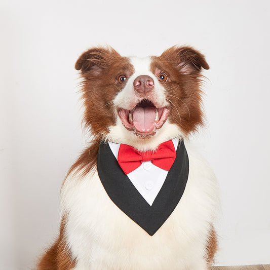 Pet Tie Banquet Suit Triangular Binder