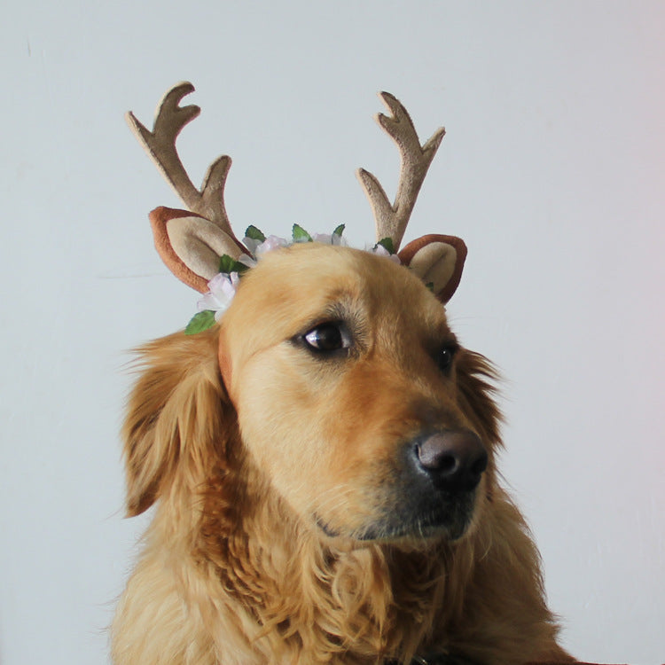 Christmas pet cat dog hat