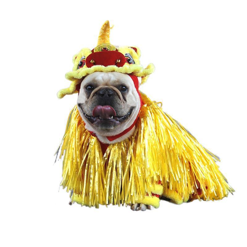 New Year Transformed Into Pet Clothing Lion Dance Costume